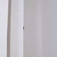 Yell War Eagle GIF by Auburn Tigers