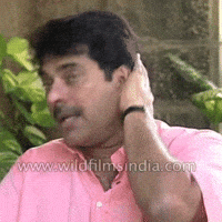 Mammootty GIF