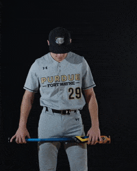 Baseball Dons GIF by Purdue Fort Wayne Athletics