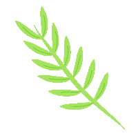 moniitas_ plants planta botanica hojita Sticker