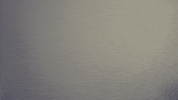 fun dancing GIF by Neon Panda MX