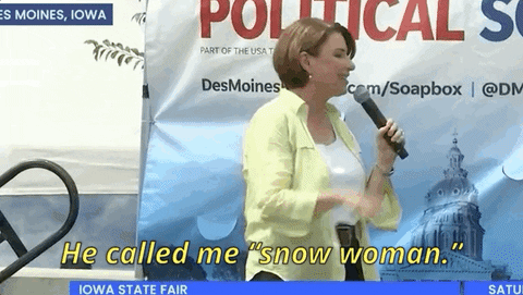 2020 Election Snow Woman GIF by Election 2020