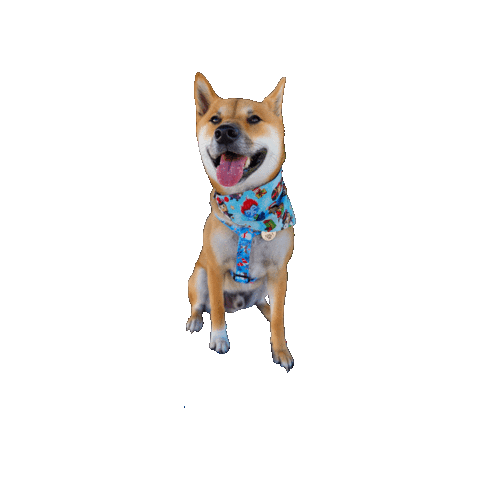 Shiba Inu Christmas Dog Sticker by Geekster Pets