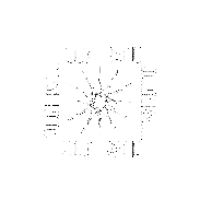Sticker by ROUGH Radio