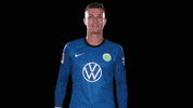 Pavao Pervan Reaction GIF by VfL Wolfsburg