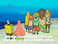 season 6 GIF by SpongeBob SquarePants