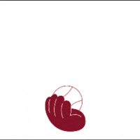Savoirjongler GIF by Mallette