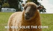 Lamb Shepherd GIF by The Sheep Detectives