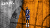 Koripallo Koris GIF by Basket_fi