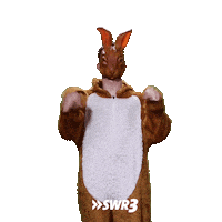 Happy Wave Sticker by SWR3
