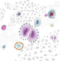 Water Corona Sticker