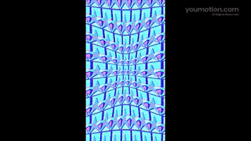 Your Game Opener | Video |You Motion