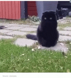 mood GIF
