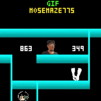 Maze 775 Mose GIF