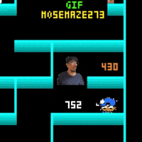 Maze 273 Mose GIF