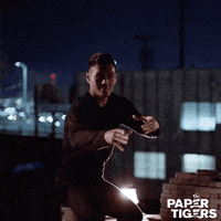 Martial Arts Movie GIF by AMP International