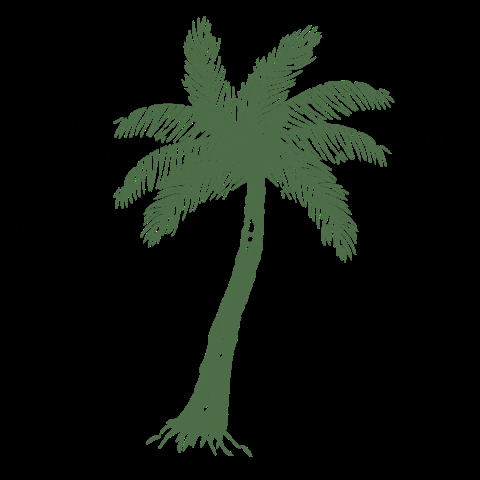 ashleyroseclothing giphygifmaker vacation tropical hawaii GIF