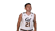 i see you wow Sticker by Cal Athletics