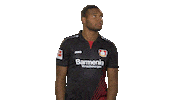 confused bayer leverkusen Sticker by Bundesliga