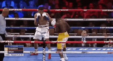 toprank boxing fighting espn fighters GIF