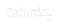 Saturday Sticker by Chapters