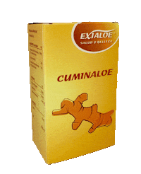 Cuminaloe Sticker by Exialoe - Health & Beauty