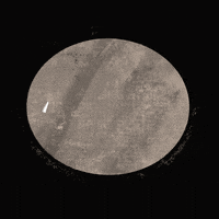 awberrydesign new post newpost 新貼文 GIF