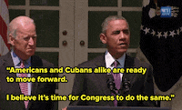 news world GIF