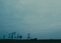 Film Sky GIF