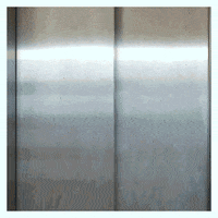 AnsleyCreative ansley jansley mansley ansleycreative GIF