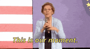 Elizabeth Warren This Is Our Moment GIF by Election 2020