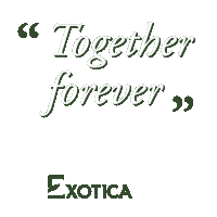 exoticaflowers love flowers valentine gift Sticker