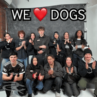 We Love Dogs GIF by Respective