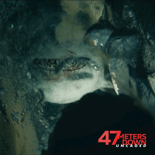 47 Meters Attack GIF by 47 Meters Down Uncaged