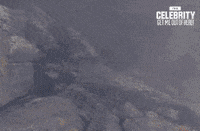 imacelebau GIF by I'm A Celebrity... Get Me Out Of Here! Australia