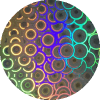 Rainbow Text Sticker