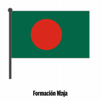 Bangladesh Flag GIF by Formación Ninja