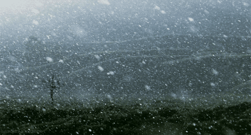 Video gif. Heavy snow falls down onto a hilly landscape. A single tree populates the area. It’s small and leafless. 