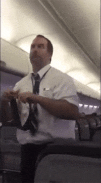 united airlines GIF