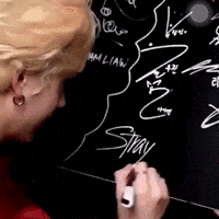 Stray Kids Chan GIF