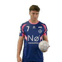 Handball Leis Sticker by DAIKIN HBL