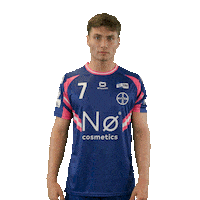 Handball Leis Sticker by DAIKIN HBL