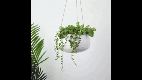 comment-economiser giphyupload GIF