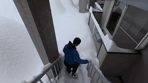 yj_jane giphyupload GIF