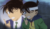 Detectiveconan Shinichikudo GIF