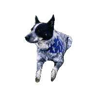 Blue Heeler Wendy Sticker by Geekster Pets