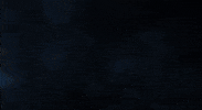 Shiba GIF by SHIBABETS.GG