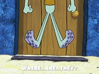 season 7 GIF by SpongeBob SquarePants