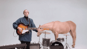 music video band GIF by Domino Recording Co.