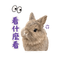 Vplab Sticker by ltudcd